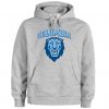 Columbia university lions hoodie FD01
