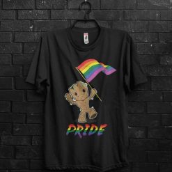 Pride Tshirt TY11M0