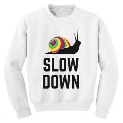 Slow Down Snailed Funny Sweatshirt AL20M1