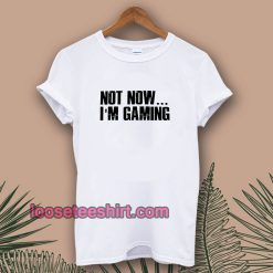 Not Now I'm Gaming I Can't t-shirt TPKJ1